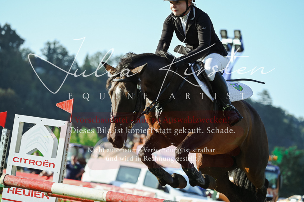 DSC_4290 | Pferde- und Turnierfotografie in Westsachsen. Pferdeportraits, Auftragszeichnungen und intuitive Kunst.