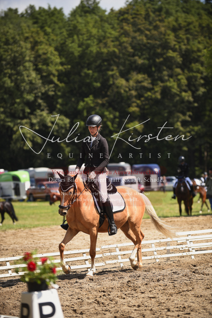DSC_0598 | Pferde- und Turnierfotografie in Westsachsen. Pferdeportraits, Auftragszeichnungen und intuitive Kunst.