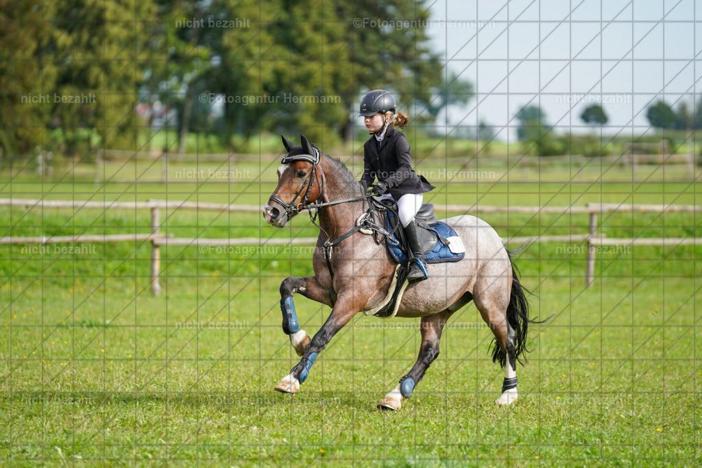 20230917-FAH09196 | Landsberg am Lech, 2023, Kaufbeuren, Kempten, Allgäu, Turnierfotografen Bayern, Fotoagentur Herrmann, Turnierbilder, Reitsport Fotos, Pferdefotograf, Augsburg, Bad Tölz, Dachau, Karlsfeld, Memmingen, Buchloe, Schwabmünchen