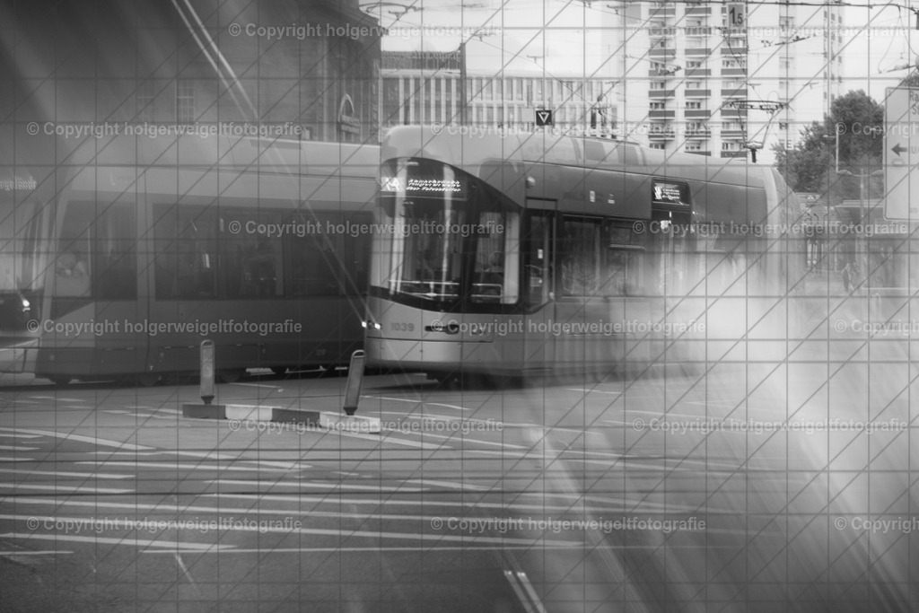 20260703205229Z63_5408 | Kaufen sie online außergewöhnliche Fotografien auf Leinwand Acrylglas Fotoprint Aludibond von holgerweigeltfotografie - Realisiert mit Pictrs.com