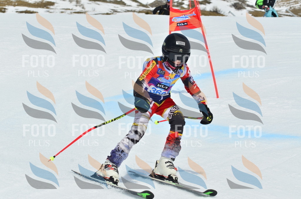 _ELE2861 | holidayphoto