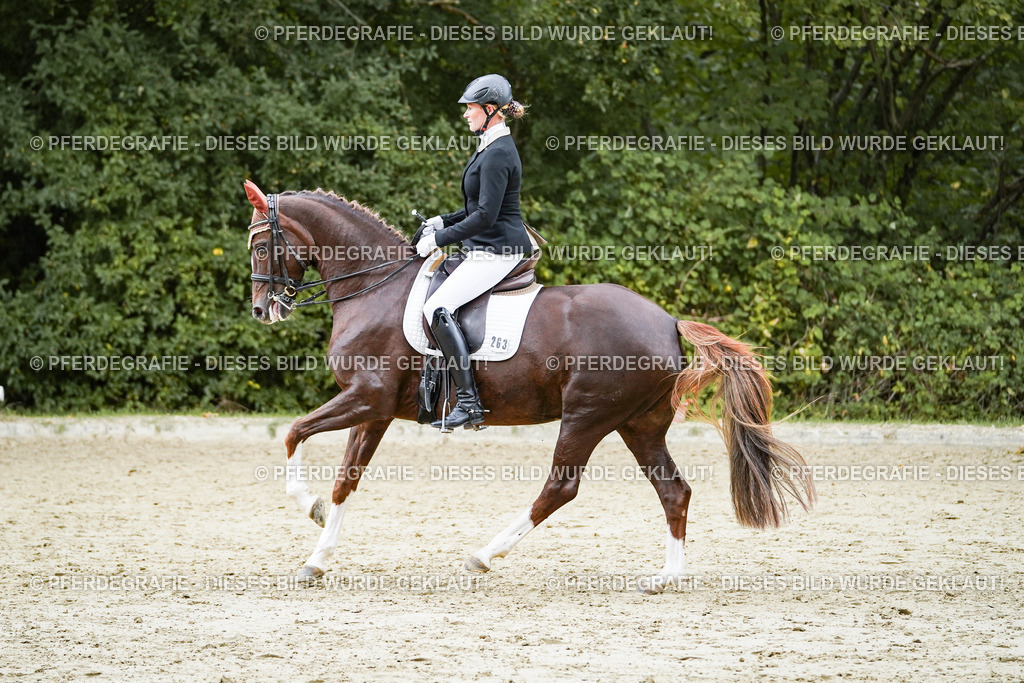 DSC06885 | Pferdegrafie