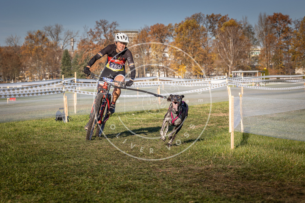 CaniXpix_0L8A4914 | Hundefotografie, Tierfotograf, Pfotenfotografie, Fotoshooting Hund, Hunde Portrait, Hundesport, Hundeportraits, Heideshooting, Hunde, Sportfotograf, Hundefotograf, Turnierhundsport, THS,  - Realisiert mit Pictrs.com
