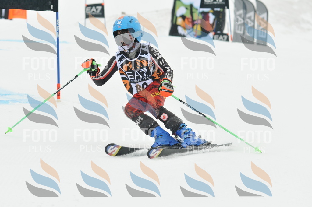 DSC_7907 | holidayphoto