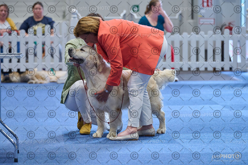 202406_ÖKV-IHA-Tulln24_DSC_5350 | proPHOTO - Realisiert mit Pictrs.com