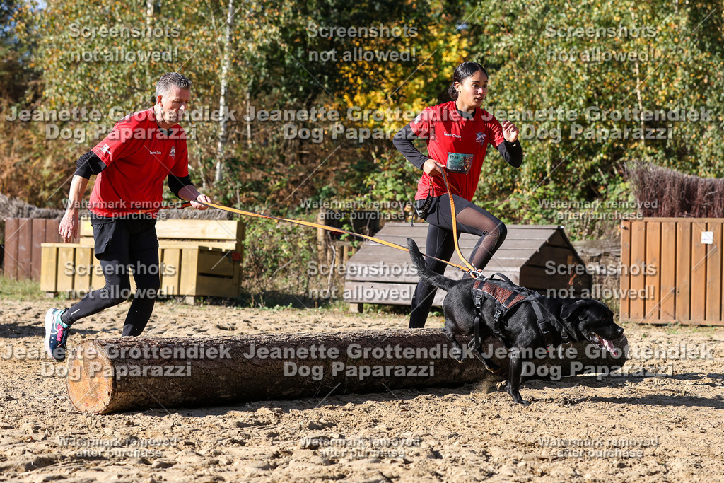 Dog Paparazzi - Strongdog 10-25-4703 | Dog Paparazzi Jeanette Grottendiek Fotografie & Videografie - Realisiert mit Pictrs.com