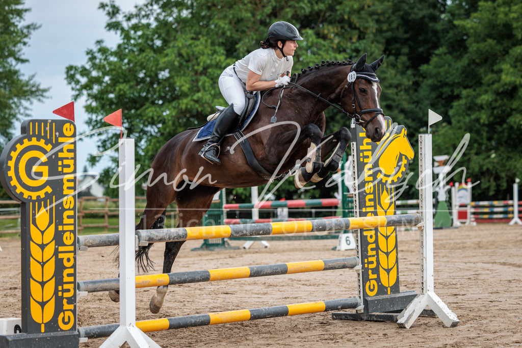 20260531-_3LI3274 | Tierfotografie Pferde, Hunde, Katzen, Haustiere.
Turnierfotografie Reitturniere, Reiten, Springreiten, Dressur in Hanau, dem Main-Kinzig-Kreis und dem Rhein-Main- Gebiet um Frankfurt