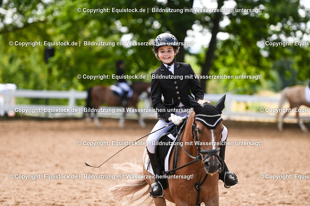 20230716_10-3_Reiter-WB Schritt - Trab - Galopp_0188 | equistock