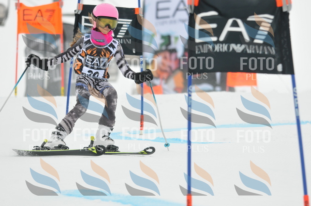 DSC_7546 | holidayphoto