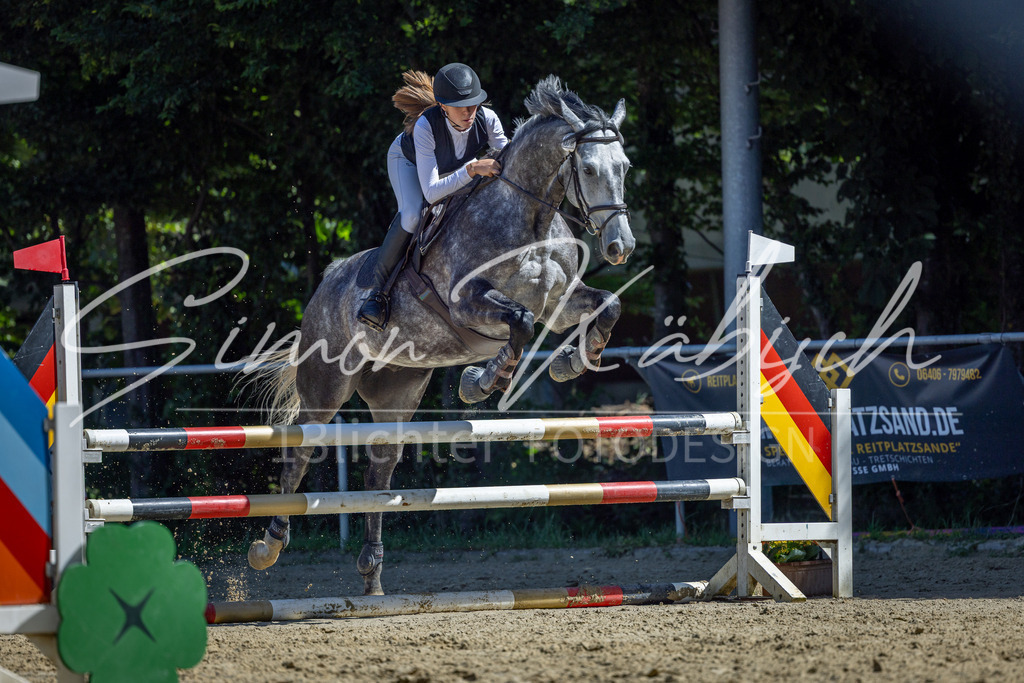20260704-_3LI7556 | Tierfotografie Pferde, Hunde, Katzen, Haustiere.
Turnierfotografie Reitturniere, Reiten, Springreiten, Dressur in Hanau, dem Main-Kinzig-Kreis und dem Rhein-Main- Gebiet um Frankfurt