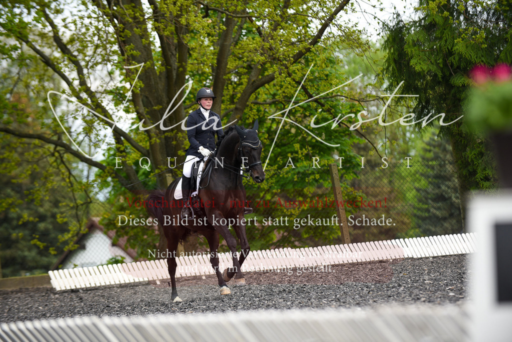 20230513_JK-Röhrsdorf-17-291 | Pferde- und Turnierfotografie in Westsachsen. Pferdeportraits, Auftragszeichnungen und intuitive Kunst.