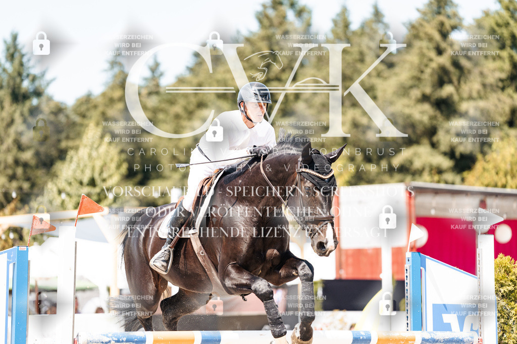 CK901069 | Turnierfotografie Pferdefotografie Trier Rheinland-Pfalz Pferdesport Reitsport Tierfotografie Sportfotografie Pferdevideo Pferdevideografie Equestrianvideography equestrianphotography  - Realisiert mit Pictrs.com