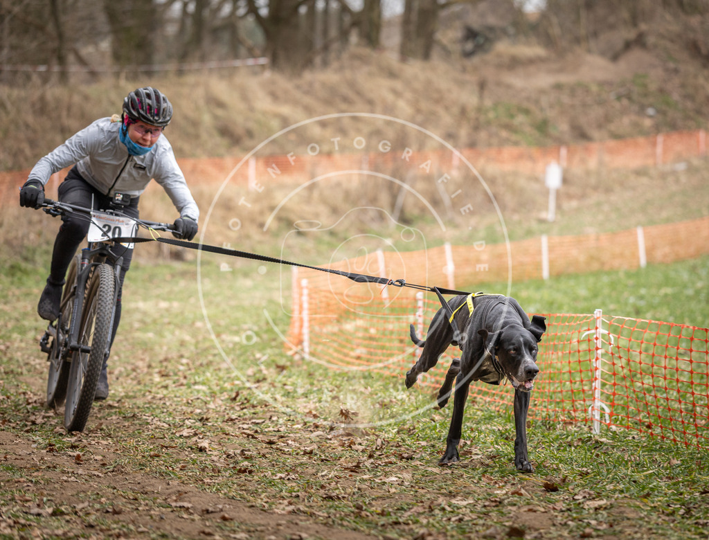Pfotenfotografie_DV3A7170 | Hundefotografie, Tierfotograf, Pfotenfotografie, Fotoshooting Hund, Hunde Portrait, Hundesport, Hundeportraits, Heideshooting, Hunde, Sportfotograf, Hundefotograf, Turnierhundsport, THS,  - Realisiert mit Pictrs.com