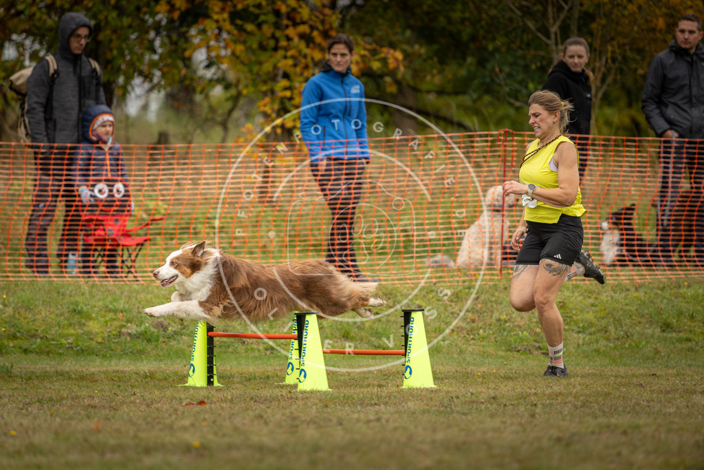 Pfotenfotografie_DV3A4478 | Hundefotografie, Tierfotograf, Pfotenfotografie, Fotoshooting Hund, Hunde Portrait, Hundesport, Hundeportraits, Heideshooting, Hunde, Sportfotograf, Hundefotograf, Turnierhundsport, THS,  - Realisiert mit Pictrs.com