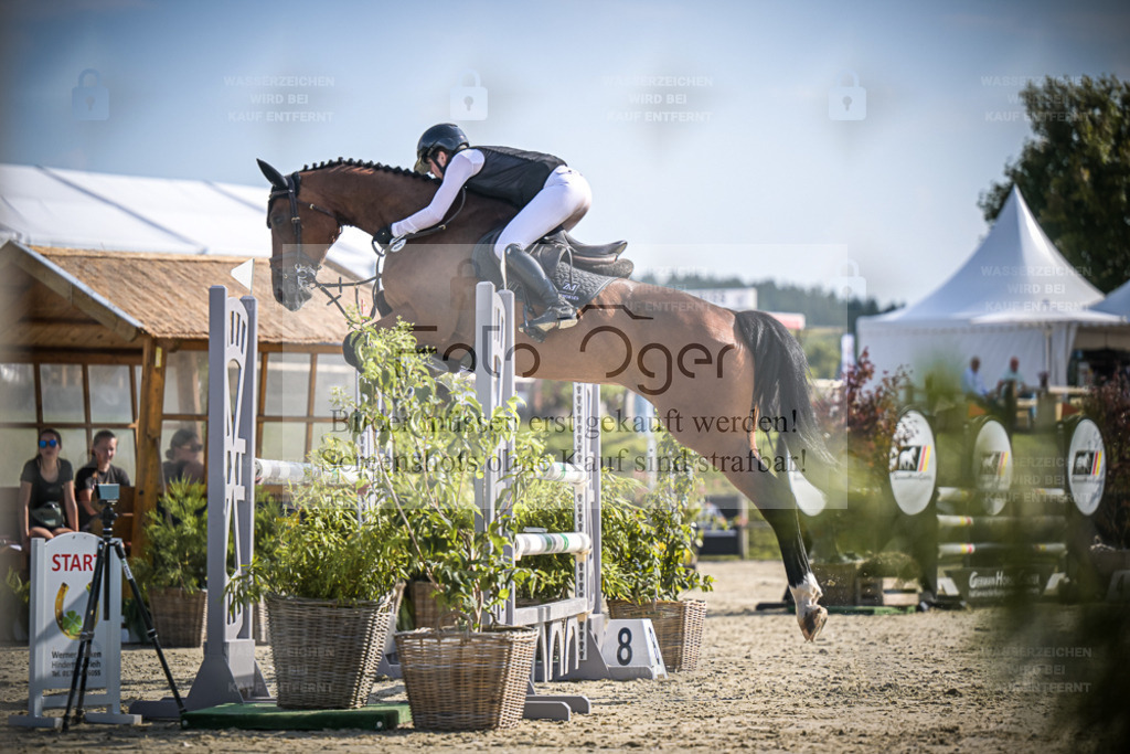 DOS_9279 | Entdecke hochwertige Reitturnierfotos von Foto Oger. Professionell, emotional und authentisch – jetzt Lieblingsmomente im Shop bestellen. - Realisiert mit Pictrs.com