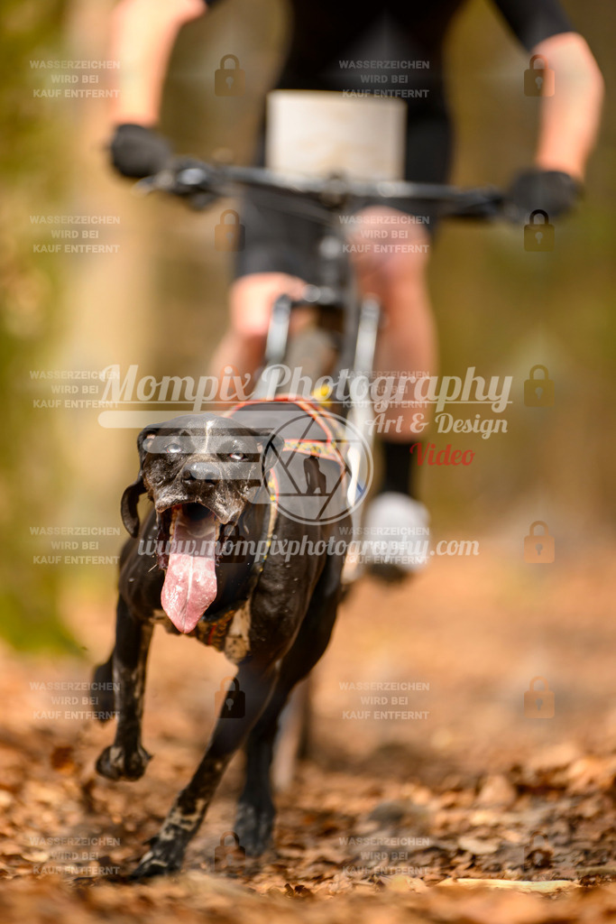 MompixPhotography_Habay2025_SA_Bike-145 | PayLife