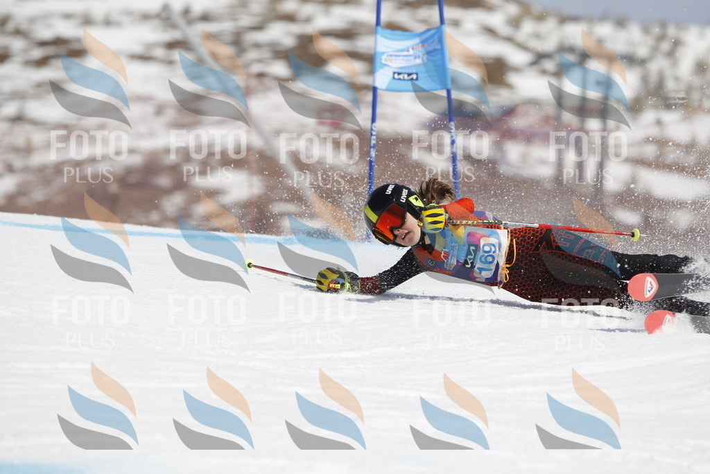 _U3G1530 | holidayphoto