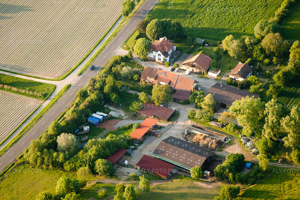 Luftbild: Ettlingen, Hofladen Hedwigshof in Ettlingen im Bundesland Baden-Württemberg in Deutschland. Foto: IMG_27630.jpg vom 23.05.2010 durch Werner Riehm/FLY-FOTO.de