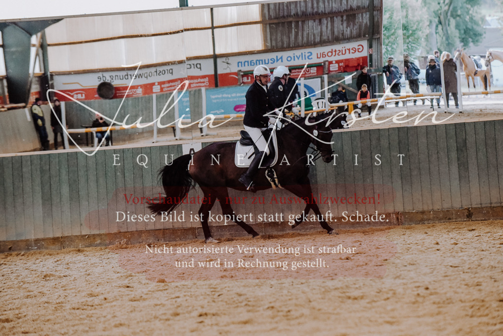 DSC_7708 | Pferde- und Turnierfotografie in Westsachsen. Pferdeportraits, Auftragszeichnungen und intuitive Kunst.