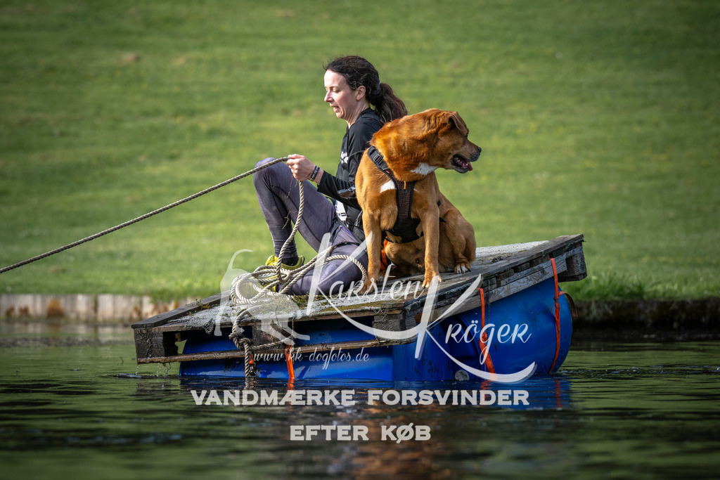 _ZZ943300715 | kk-dogfotos