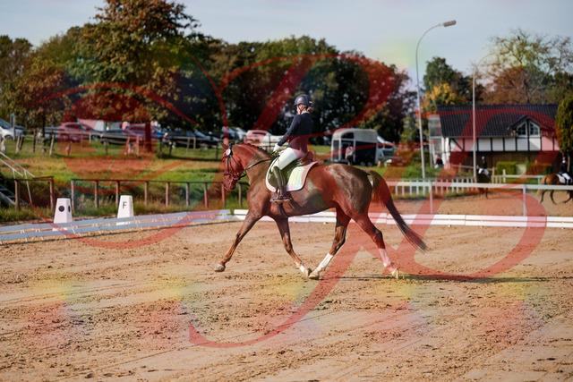 2026_10_03_Siefer-Hof_114730_Z63_26614917 | Professionelle Reitsport-, Turnier- und Eventfotografie von Robert Broda. Galerien mit ausgewählten und bearbeiteten Bildern direkt online ansehen und bestellen.