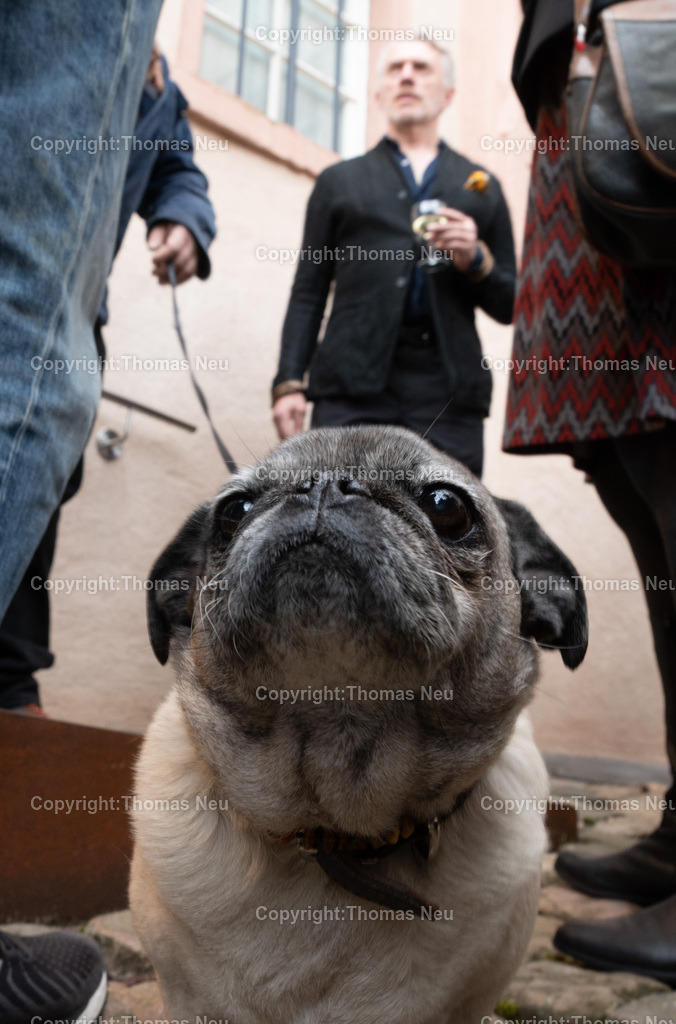 DSC_5601-2 | Finissage Ausstellung "Rosa Loy, guest Rose Wylie - Doubletten" - Museum Bensheim, der Hund von Rosa Loy und Neo rauch, 
,, Bild: Thomas Neu