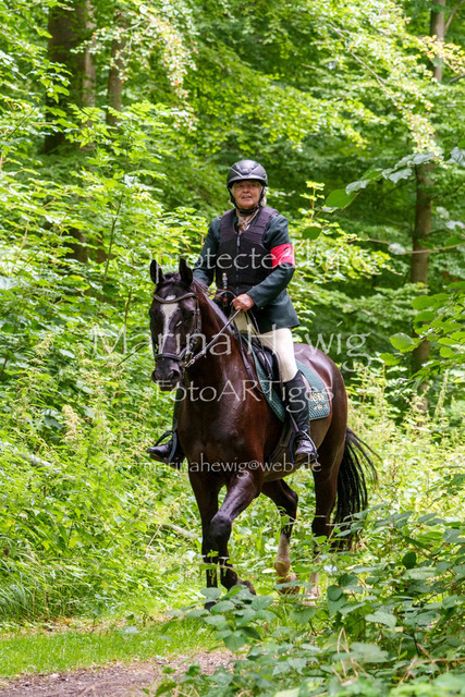 Jagd Knoop 26_MarinaHewigMCH02464 | Fotografie, FotoArt, PferdesportArt, Pferdesportfotografie, Landschaftsfotografie, Reisefotografie, Reise, Pferde - Realisiert mit Pictrs.com