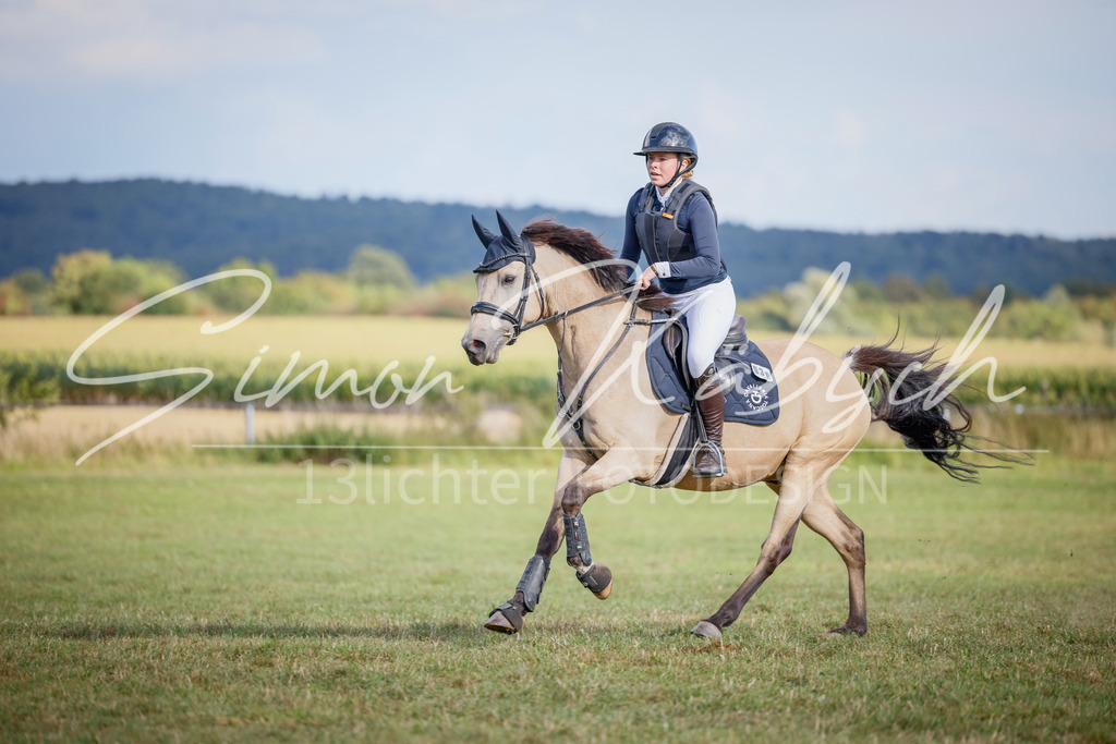 20250905-_3LI1865 | Tierfotografie Pferde, Hunde, Katzen, Haustiere.
Turnierfotografie Reitturniere, Reiten, Springreiten, Dressur in Hanau, dem Main-Kinzig-Kreis und dem Rhein-Main- Gebiet um Frankfurt