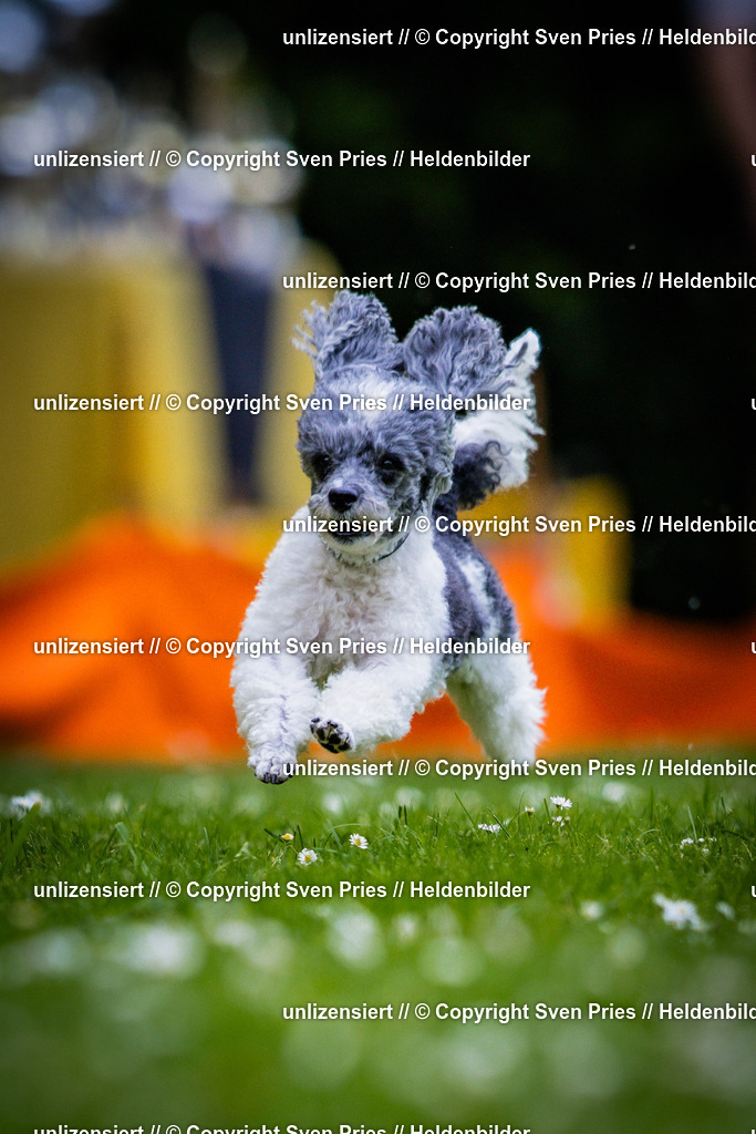 Sven Pries | 2025-05-29 - Pudelrennen KA-Durlach - Realisiert mit Pictrs.com