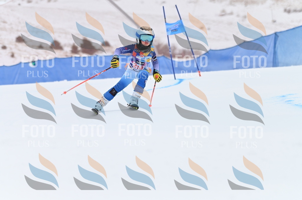 BGV_2605 | holidayphoto