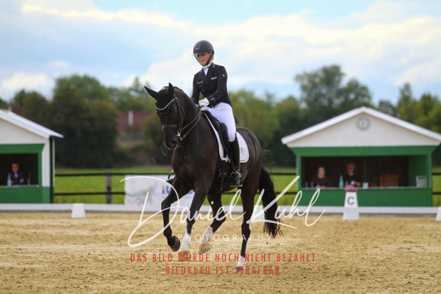 DKP44804 | Turniersportfotografie; Pferdefotografie; Dressurfotografie