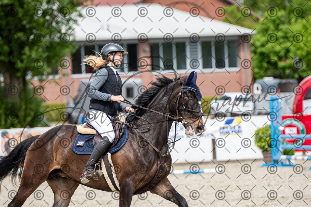 KPT_5372 | andre_photographic