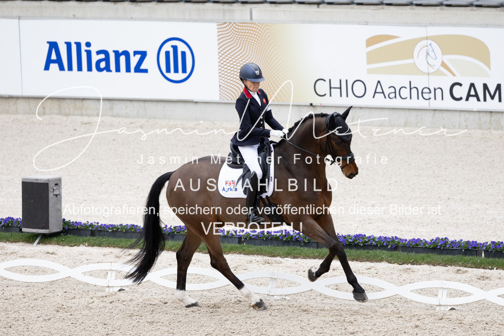 126A1646 | jasminmetznerfotografie