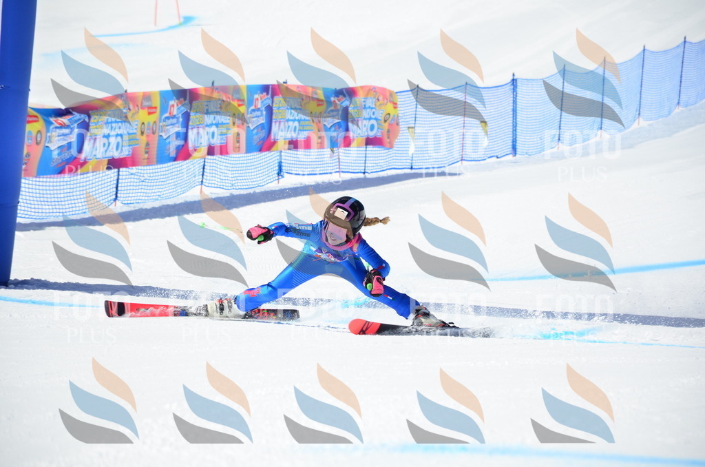 SLV_6560 | holidayphoto