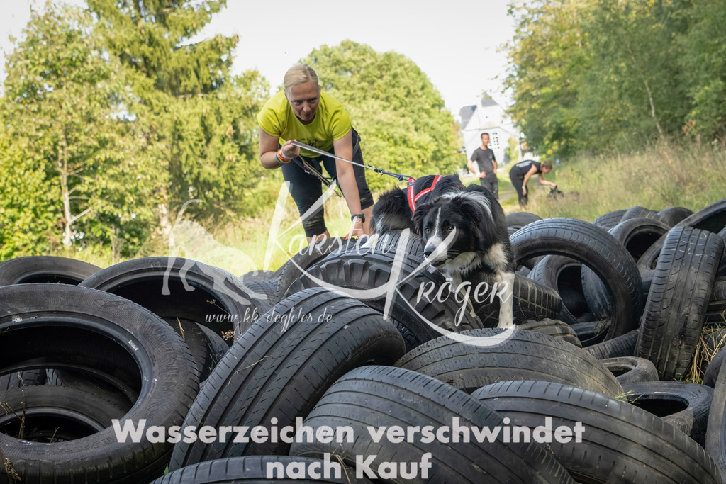 1537_ZZ91902-Bearbeitet | kk-dogfotos