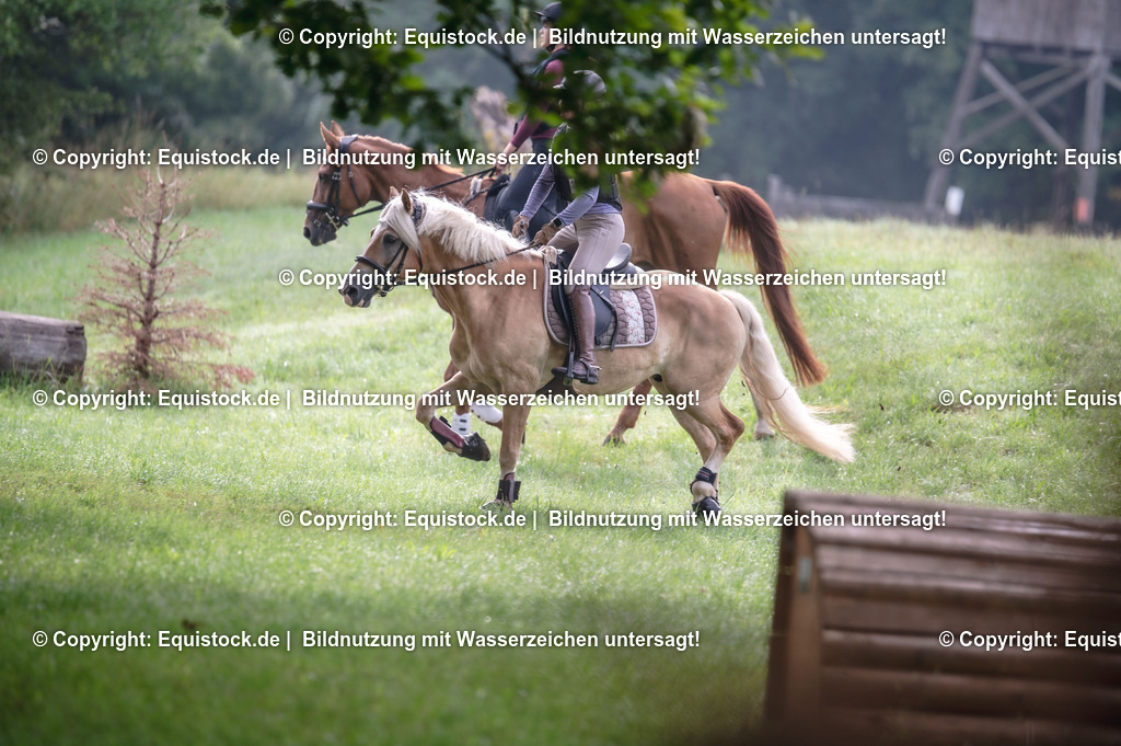 20250726_Vielseitigkeitslehrgang-Marbach_0019 | Foto: Thomas Hartig