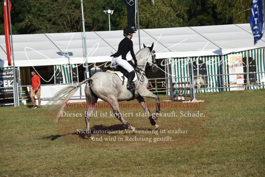 DSC_5274 | Pferde- und Turnierfotografie in Westsachsen. Pferdeportraits, Auftragszeichnungen und intuitive Kunst.