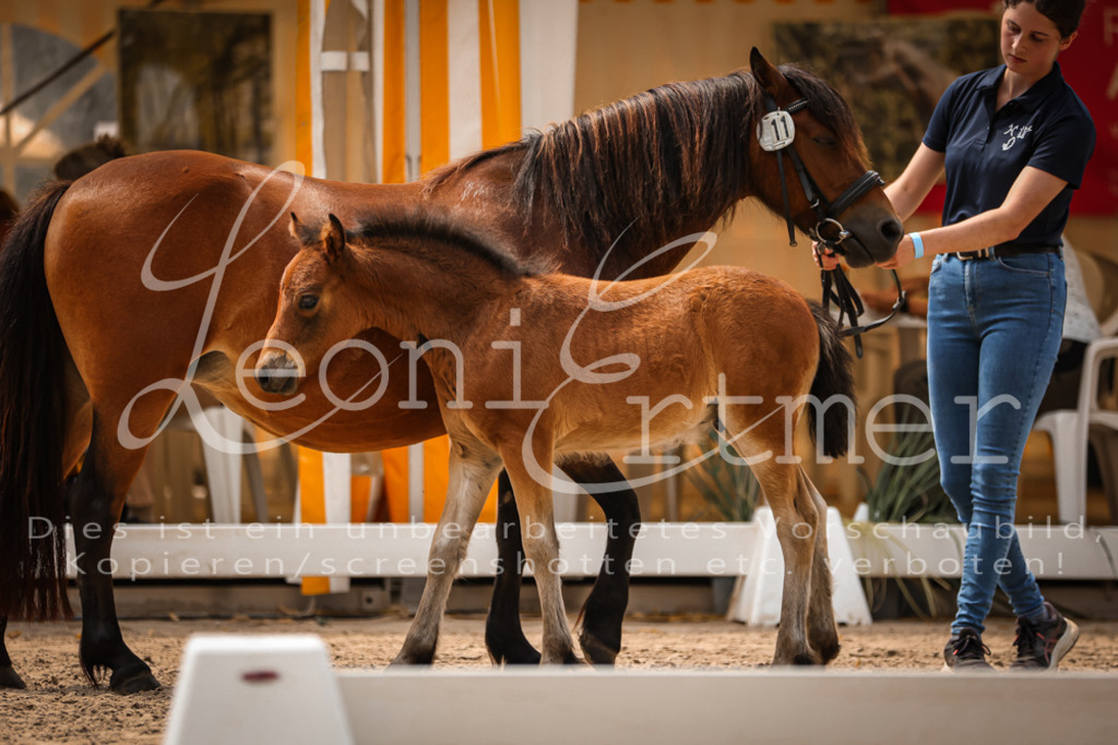 02.DoSR00123 | Leoni Ertmer Photography - Realisiert mit Pictrs.com