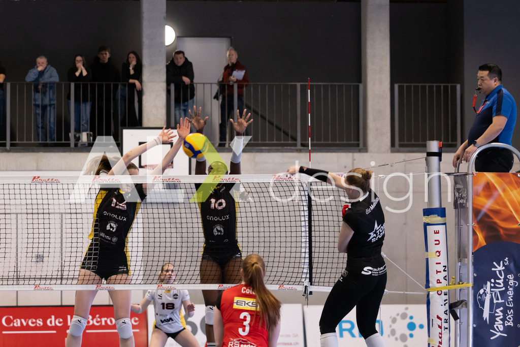 Volleyball I Frauen I Saison 2025-2026 I Volleyball NLA | Women I 1/4 Finals I  BIWI VFM - VC Kanti Schaffhausen I 01.03.2026 | 9 Jordan Lockwood (USA) (VC Kanti Schaffhausen) – Diagonal - Realisiert mit Pictrs.com