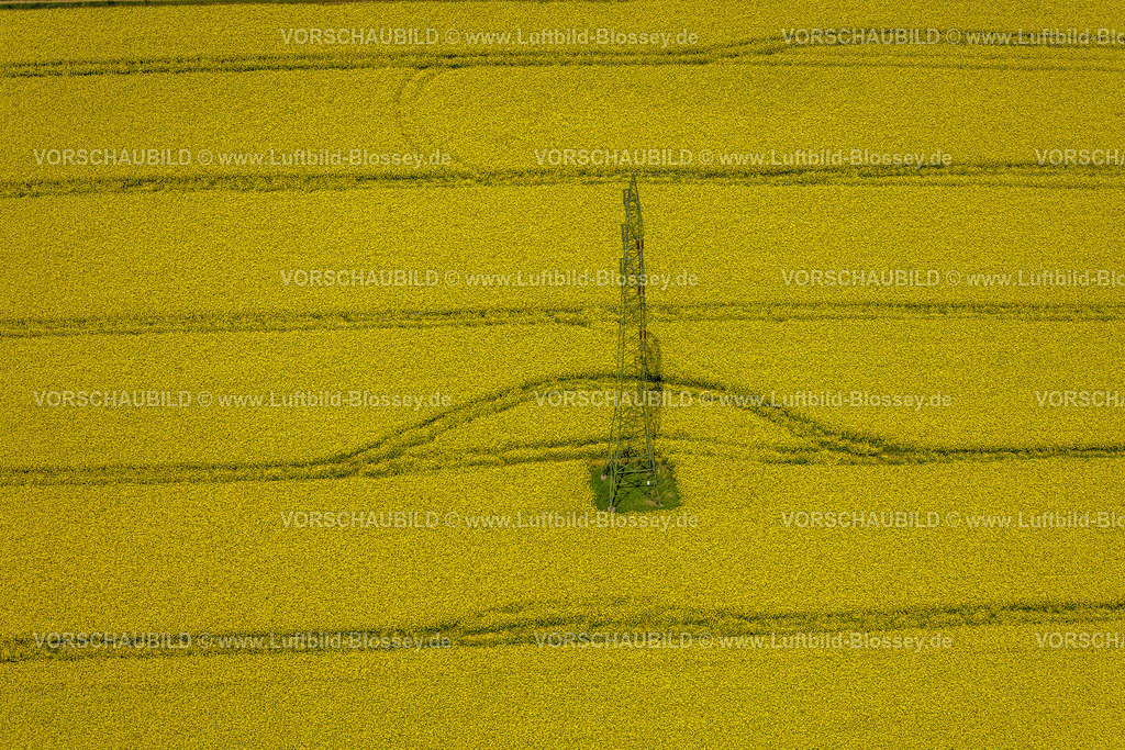 Sundern230504529Hoevel | Luftbild, Strommast in einem Rapsfeld, nahe der Bundesstraße B229, Formen und Farben, Estinghausen, Sundern, Sauerland, Nordrhein-Westfalen, Deutschland