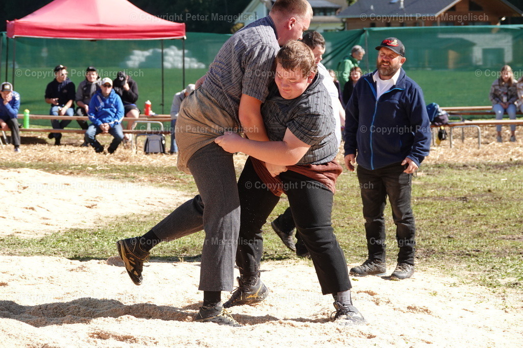 DSC00033 | Schwingen - Realisiert mit Pictrs.com