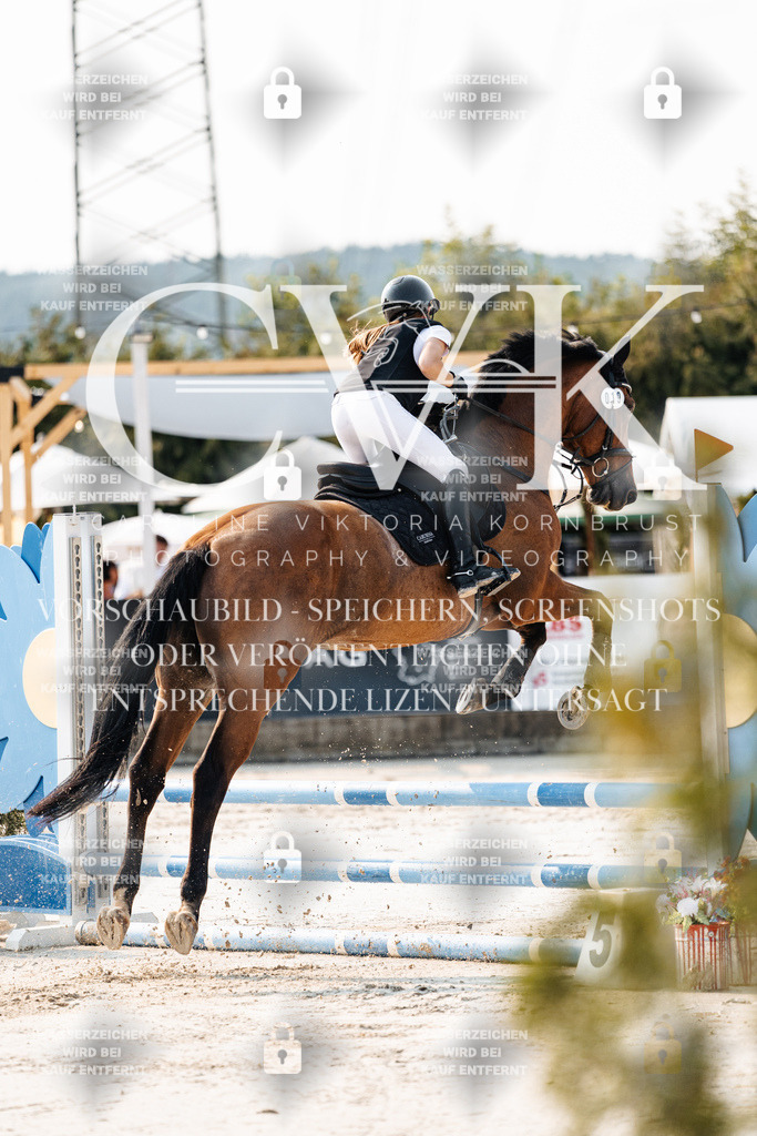 CK902721 | Turnierfotografie Pferdefotografie Trier Rheinland-Pfalz Pferdesport Reitsport Tierfotografie Sportfotografie Pferdevideo Pferdevideografie Equestrianvideography equestrianphotography  - Realisiert mit Pictrs.com