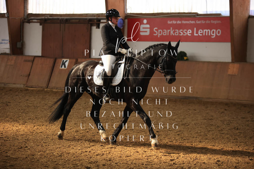 IMGT8208 | pl-fotografie