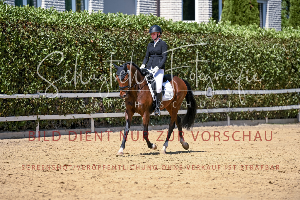 Schugtsche-Aluta25-49.Dressurpferdeprf.A-412 | Schugtsche Fotografie - Realisiert mit Pictrs.com