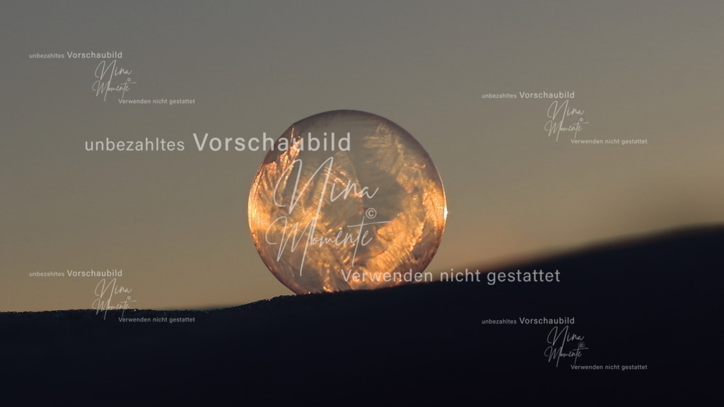 IMG_0819 | Einzigartige Fotos von Hunden & Menschen –Actionfotos, Portraits, Vereinsaufnahmen & Paarshootings – authentisch, lebendig & mit Herz.