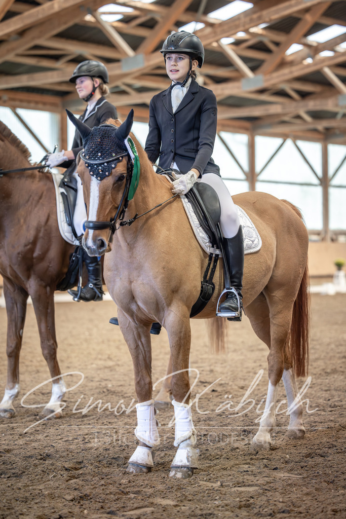 20251011-_3LI7294 | Tierfotografie Pferde, Hunde, Katzen, Haustiere.
Turnierfotografie Reitturniere, Reiten, Springreiten, Dressur in Hanau, dem Main-Kinzig-Kreis und dem Rhein-Main- Gebiet um Frankfurt