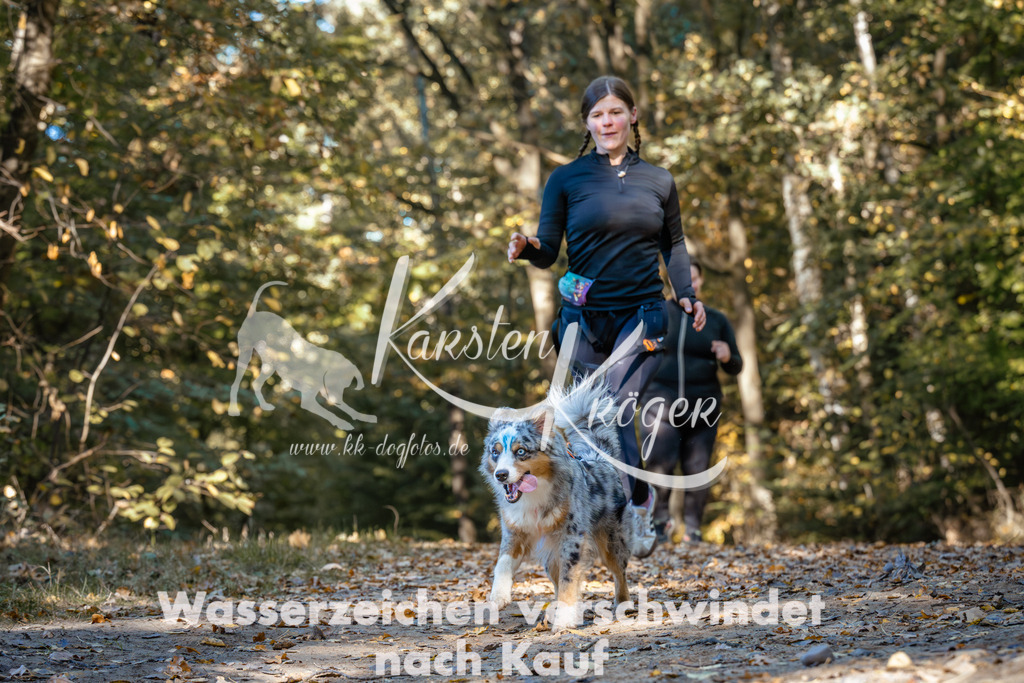 1118_ZZ91960 | kk-dogfotos