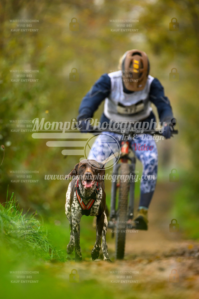 MompixPhotography_20TSB_E6_Bike-140 | PayLife