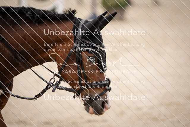 LR262_SD_02126 | saradresslerfotografie - Realisiert mit Pictrs.com