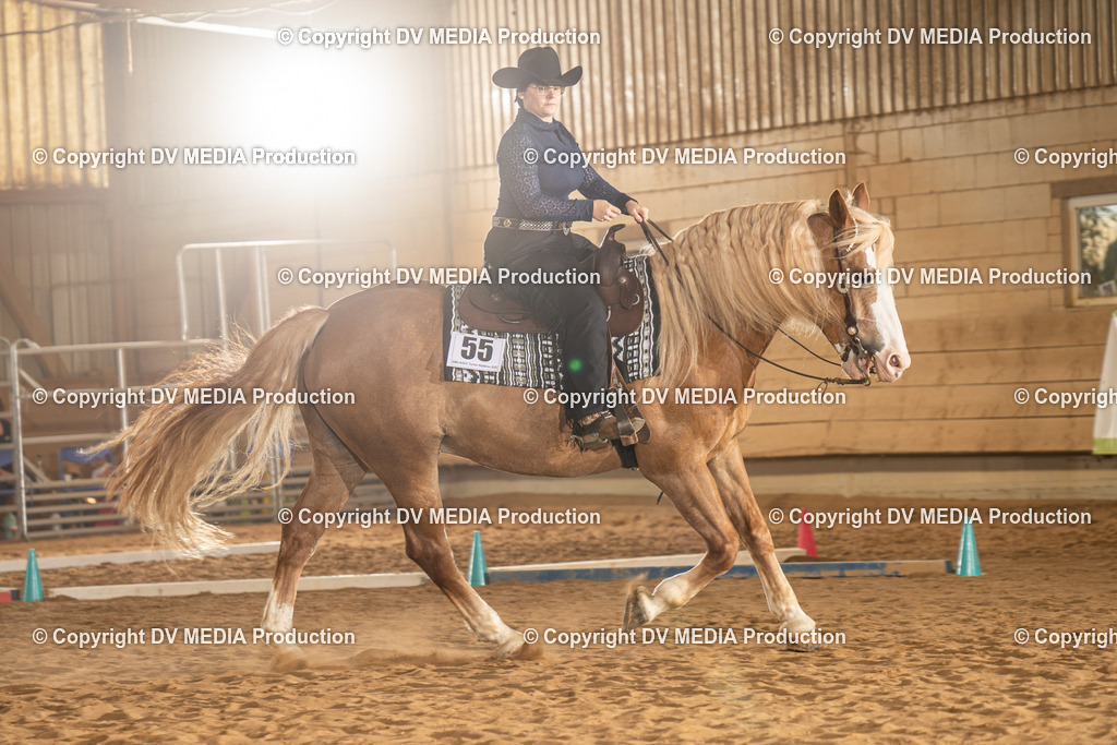 NID02712 | dv-media-shop - Realisiert mit Pictrs.com